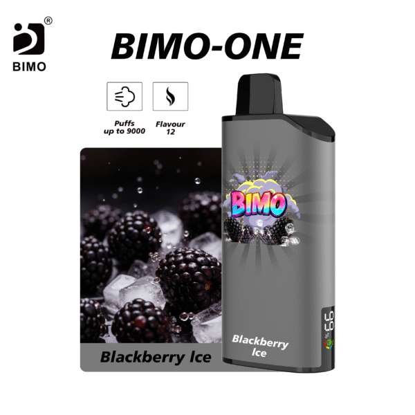 BIMO ONE 9000 Blackberry Ice